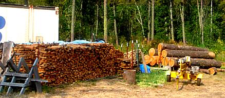 the woodpile