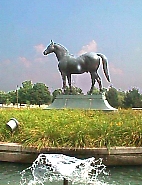 image-02