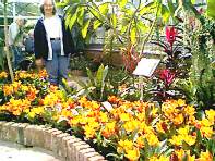 Bellingrath