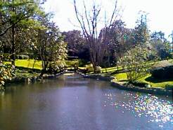 Bellingrath