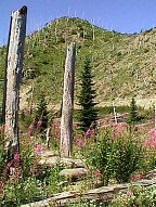    Mt St. Helens 106   